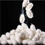 Mulberry Silk Duvet Cover – Luxury Queen Size, Skin-Beautifying & Stain-Resistant - Image 3